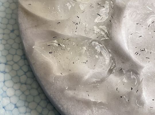 脱毛効果はサロンによって効果に大きな差がある‼️